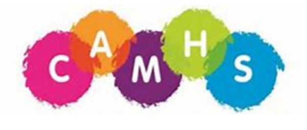 CAHMS Provider Collaborative New Care Model